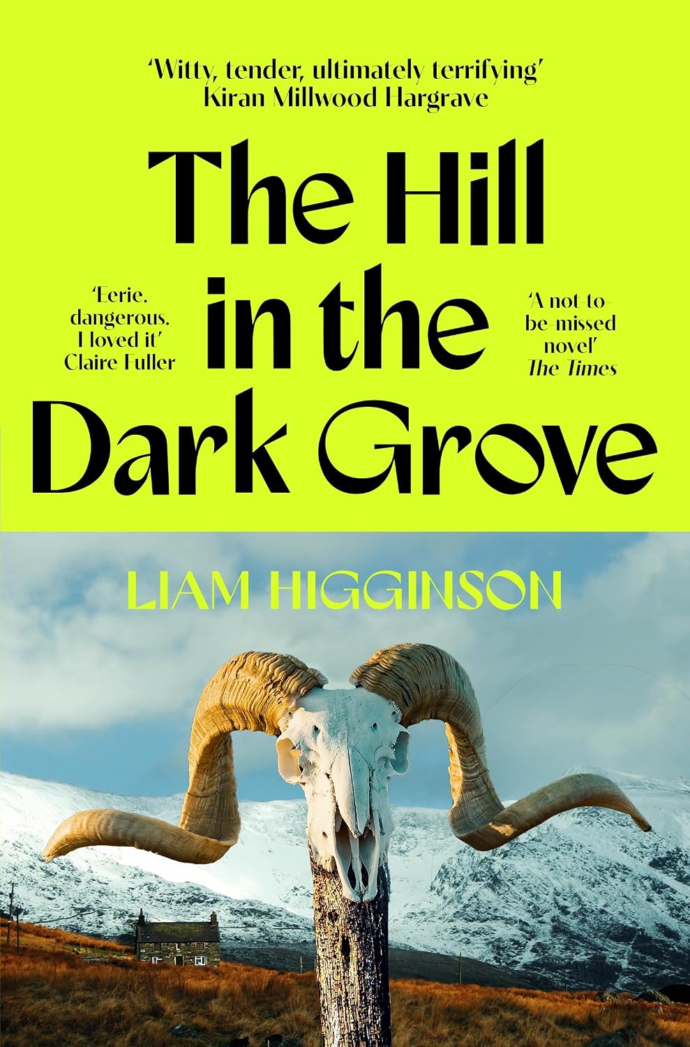 The Hill in the Dark Grove