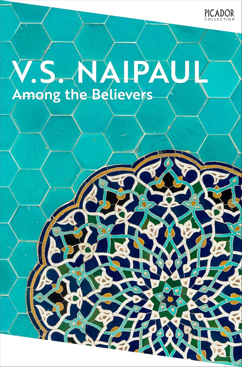 Among the Believers