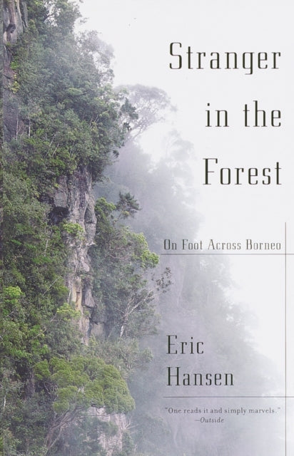 A Stranger in the Forest