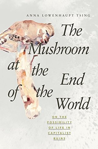 The Mushroom at the End of the World