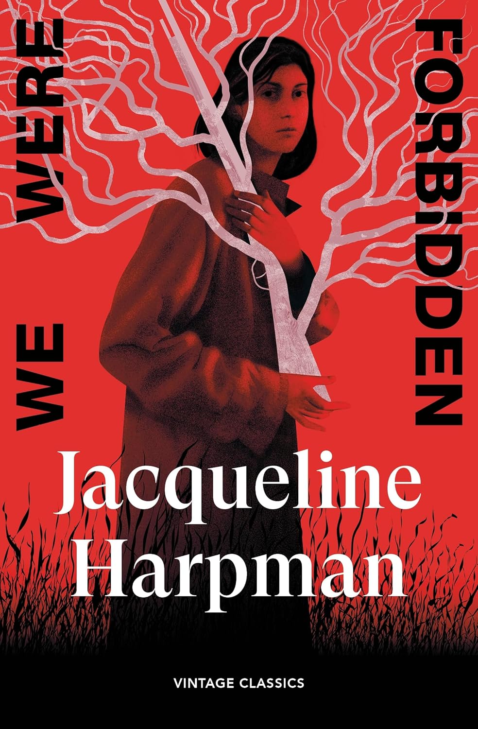 We Were Forbidden (Brief Encounters)