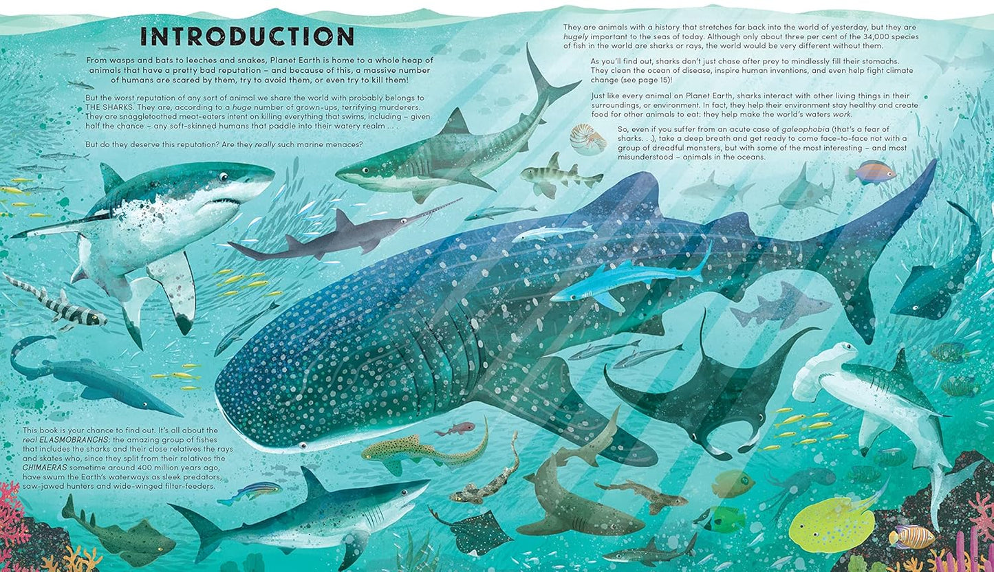 Everything You Know About Sharks Is Wrong!