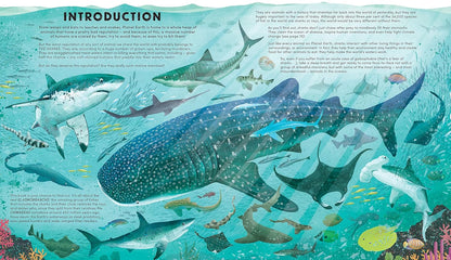 Everything You Know About Sharks Is Wrong!