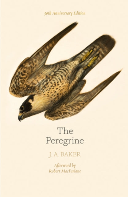 The Peregrine (50th Anniversary Edition)