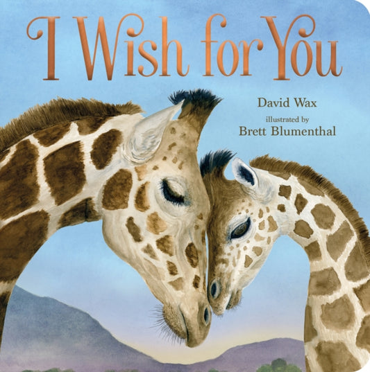 I Wish For You