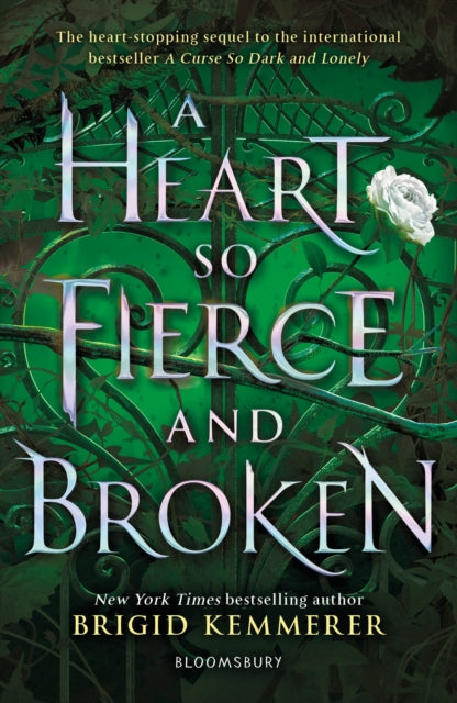 A Heart So Fierce & Broken