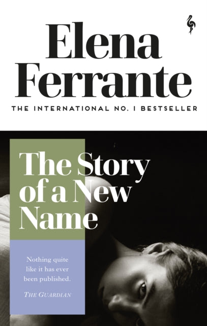 The Story Of A New Name (Neapolitan #02)