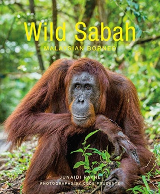 WILD SABAH 2E