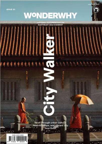 Wonderwhy Vol 1: City Walker