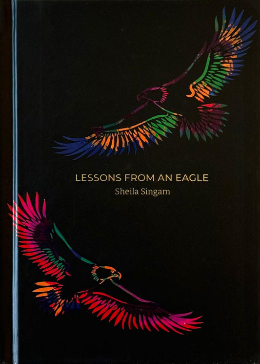 Lessons from an Eagle